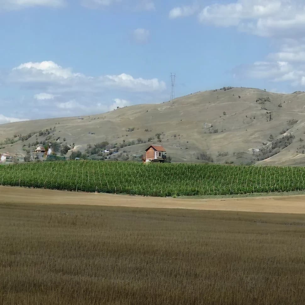 Kievo Winery vineyards and surrounding hills