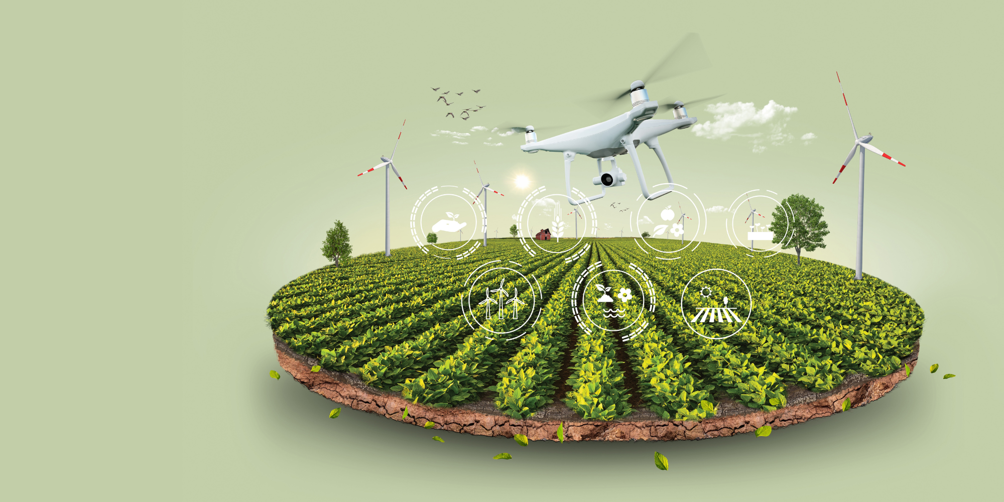 Ag Futura Technologies: Driving Innovation in Agricultural Monitoring with the Accelerate Project