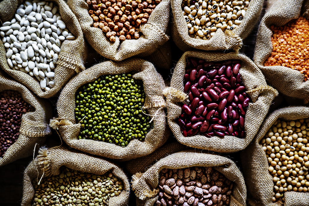 Join the LegumES project and unlock the benefits of legumes!